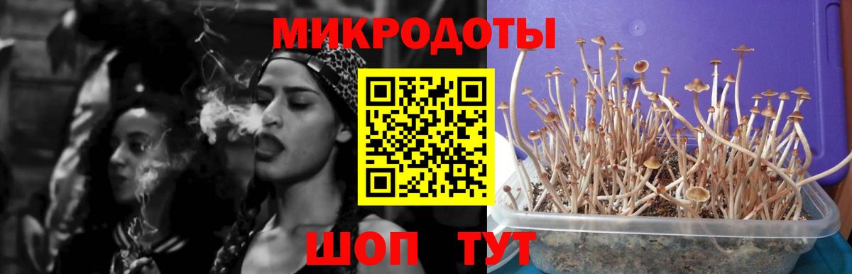 Галлюциногенные грибы прущие грибы  Вход с VPN  Гусиноозёрск 