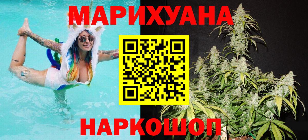 Бошки марихуана OG Kush Гусиноозёрск